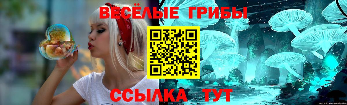 Псилоцибиновые грибы мухоморы Пушкино