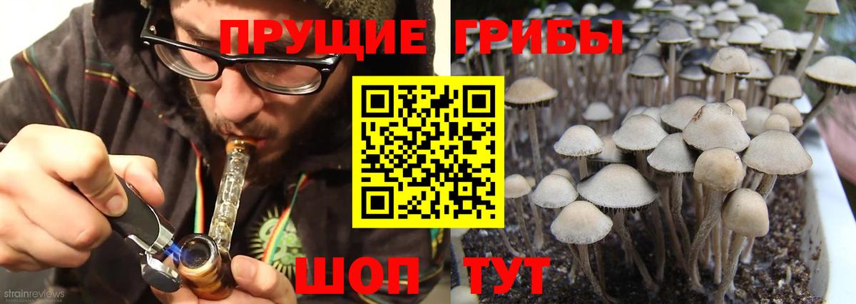 Пушкино  Псилоцибиновые грибы MAGIC MUSHROOMS  Вход с VPN 